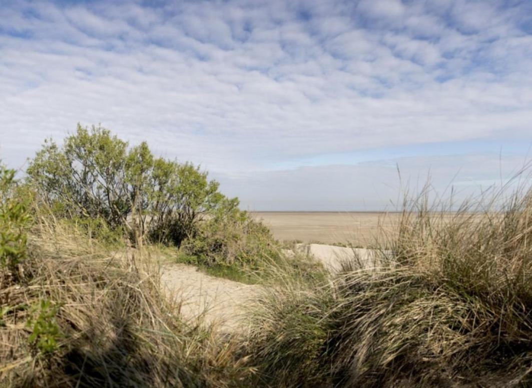 Strandchalet Bredene Εξωτερικό φωτογραφία